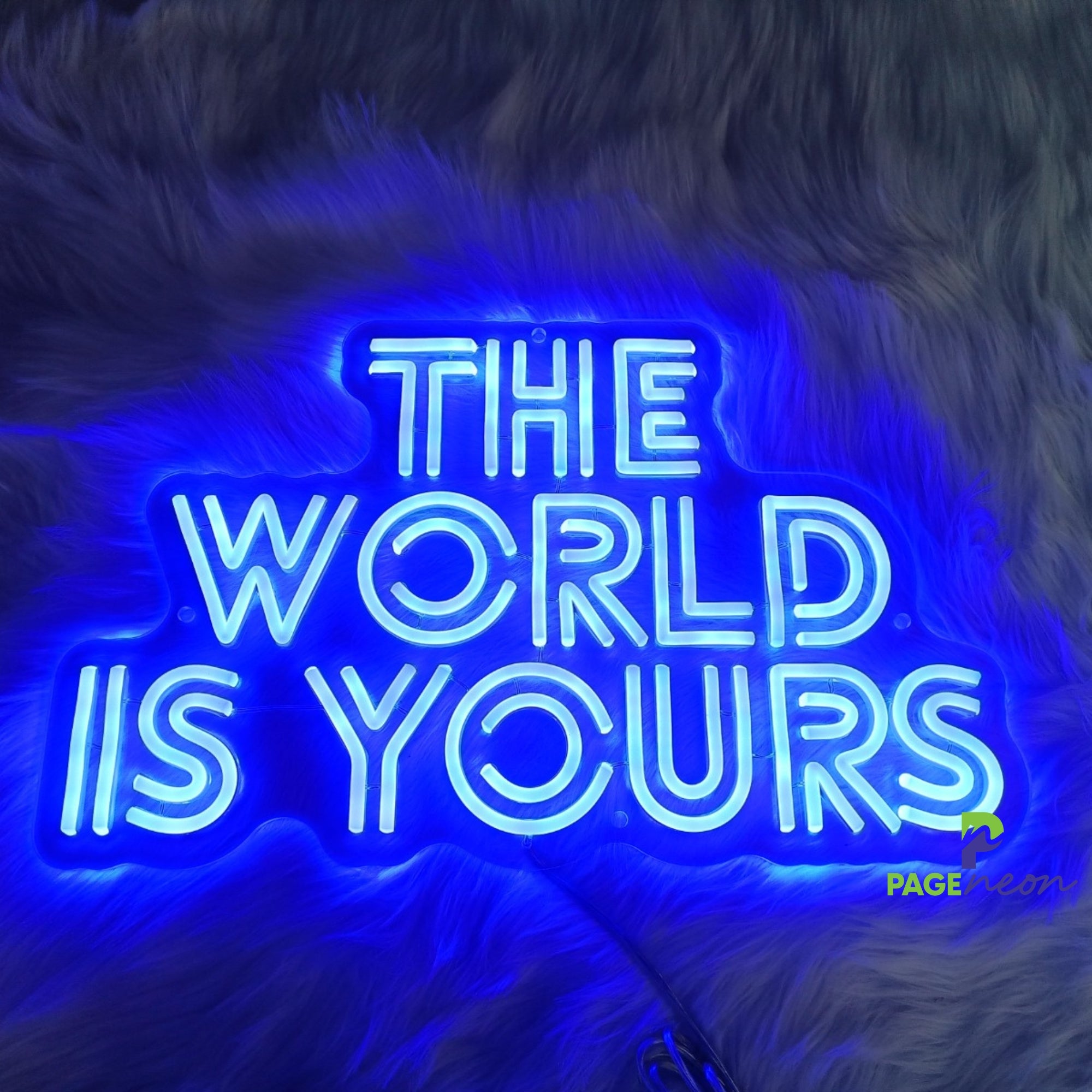 The World Is Yours Neon Sign Led Light - PageNeon
