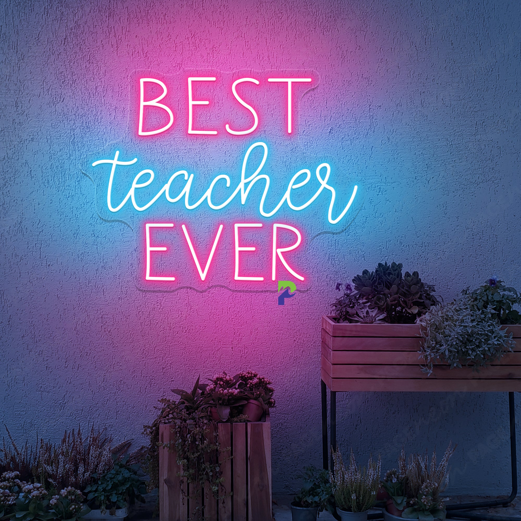 Best Teacher Ever Neon Sign Teacher Appreciation Led Light
