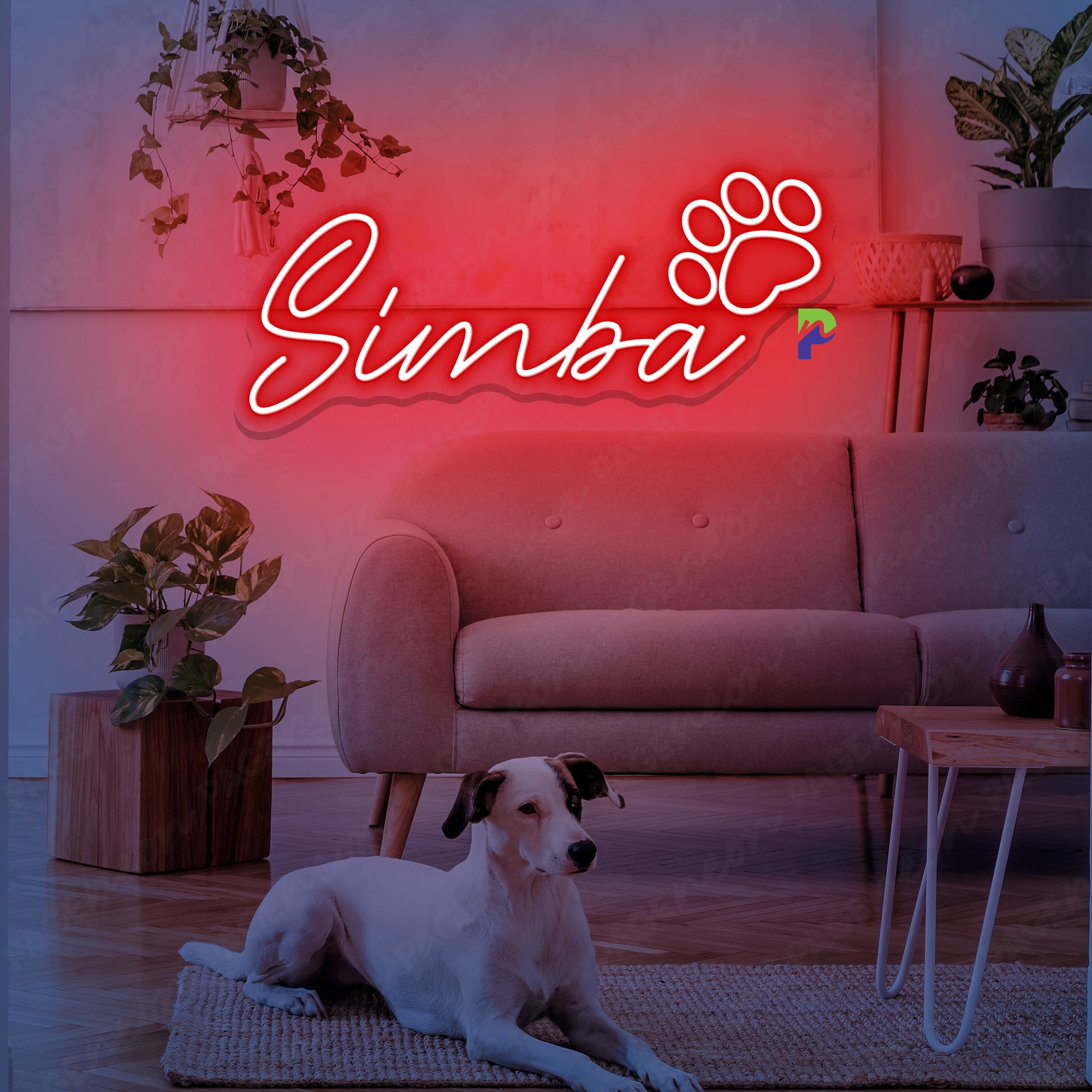 Custom Neon Sign Led Light For Lovely Pet