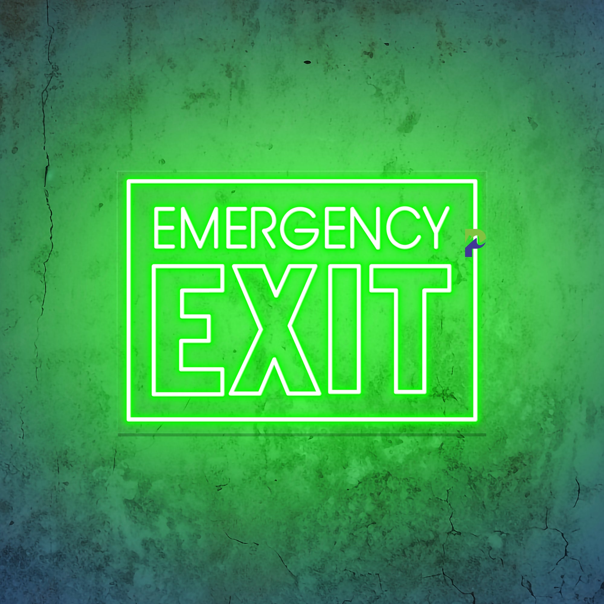 Emergency Exit Neon Sign Building Instruction Led Light
