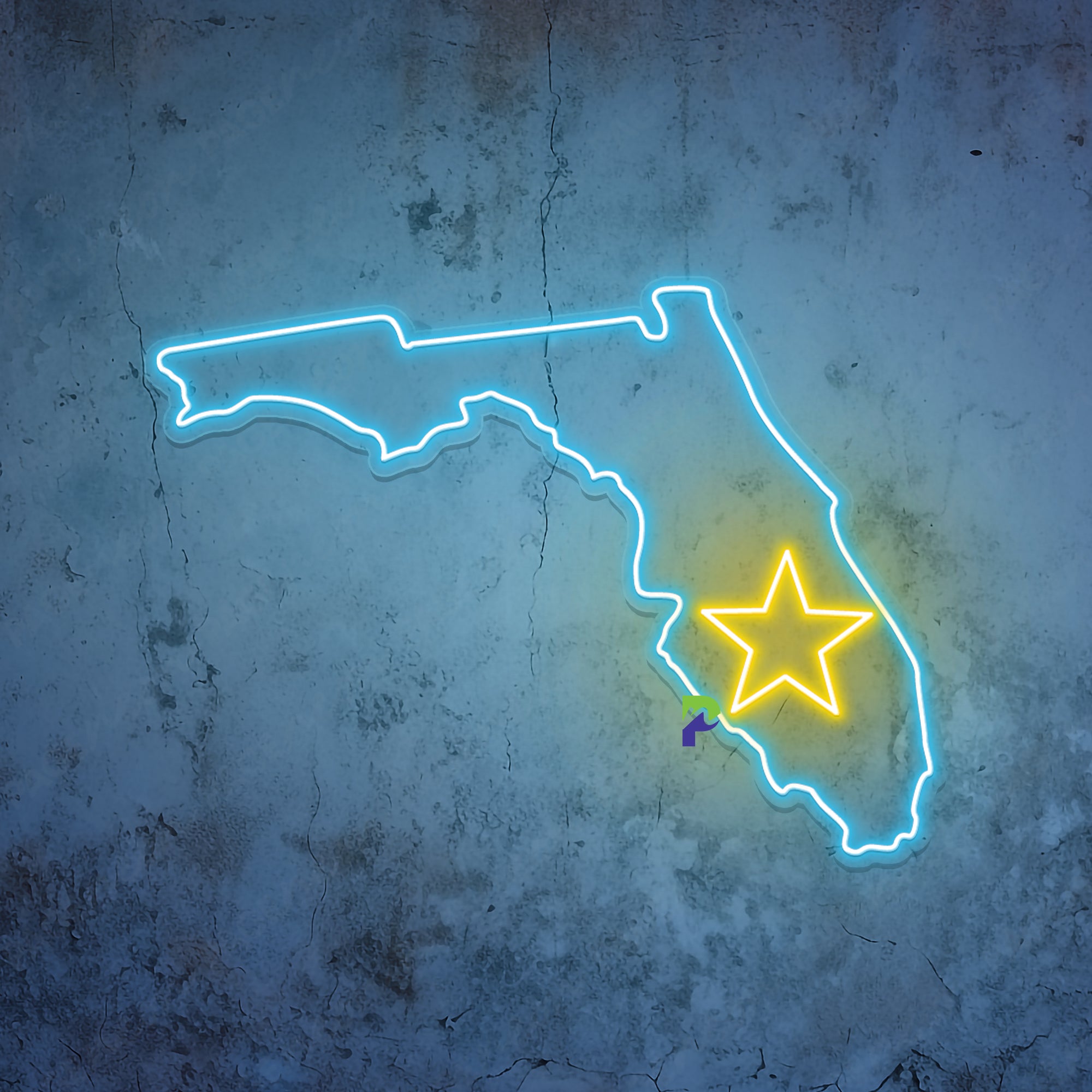 Florida Neon Sign State Led Light