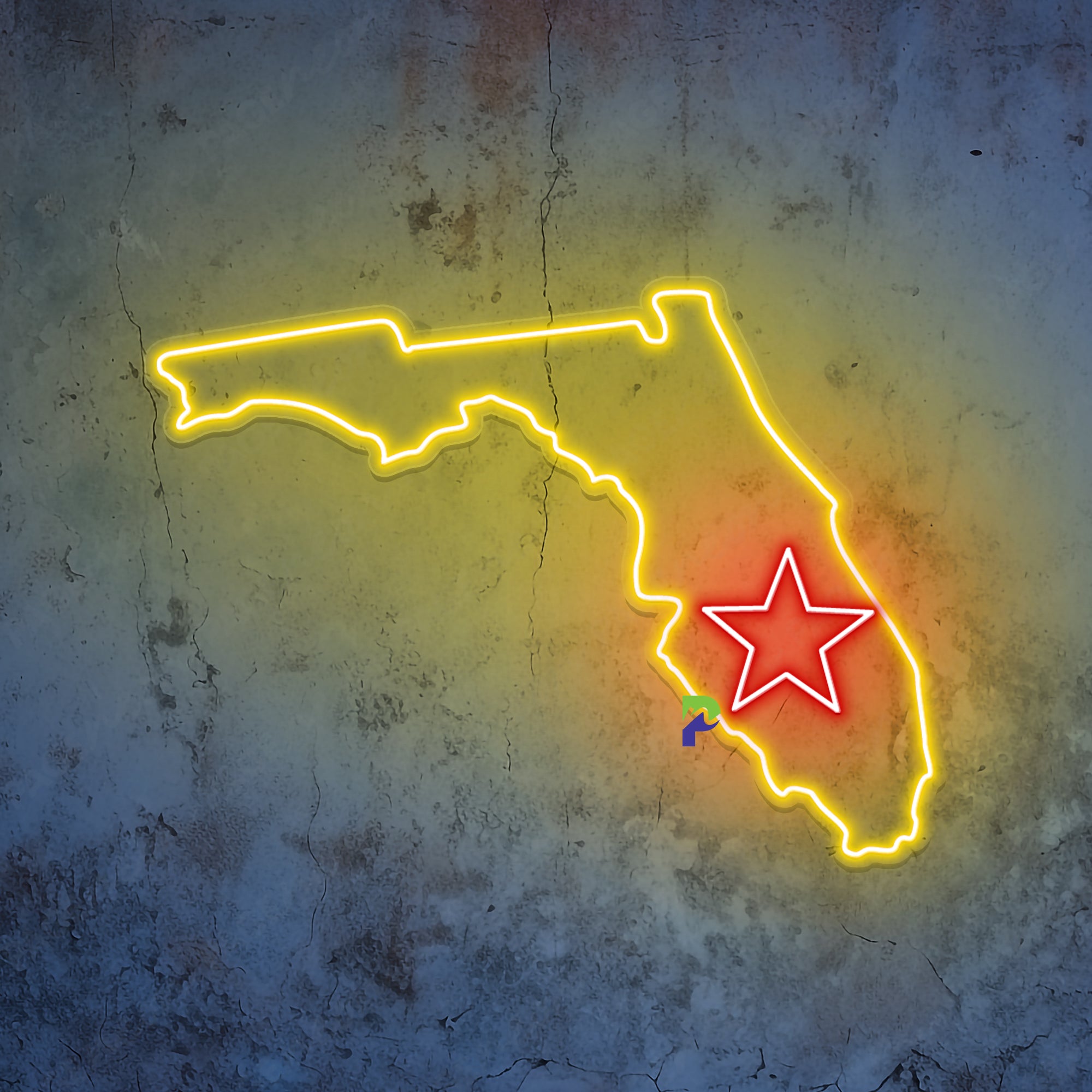 Florida Neon Sign State Led Light