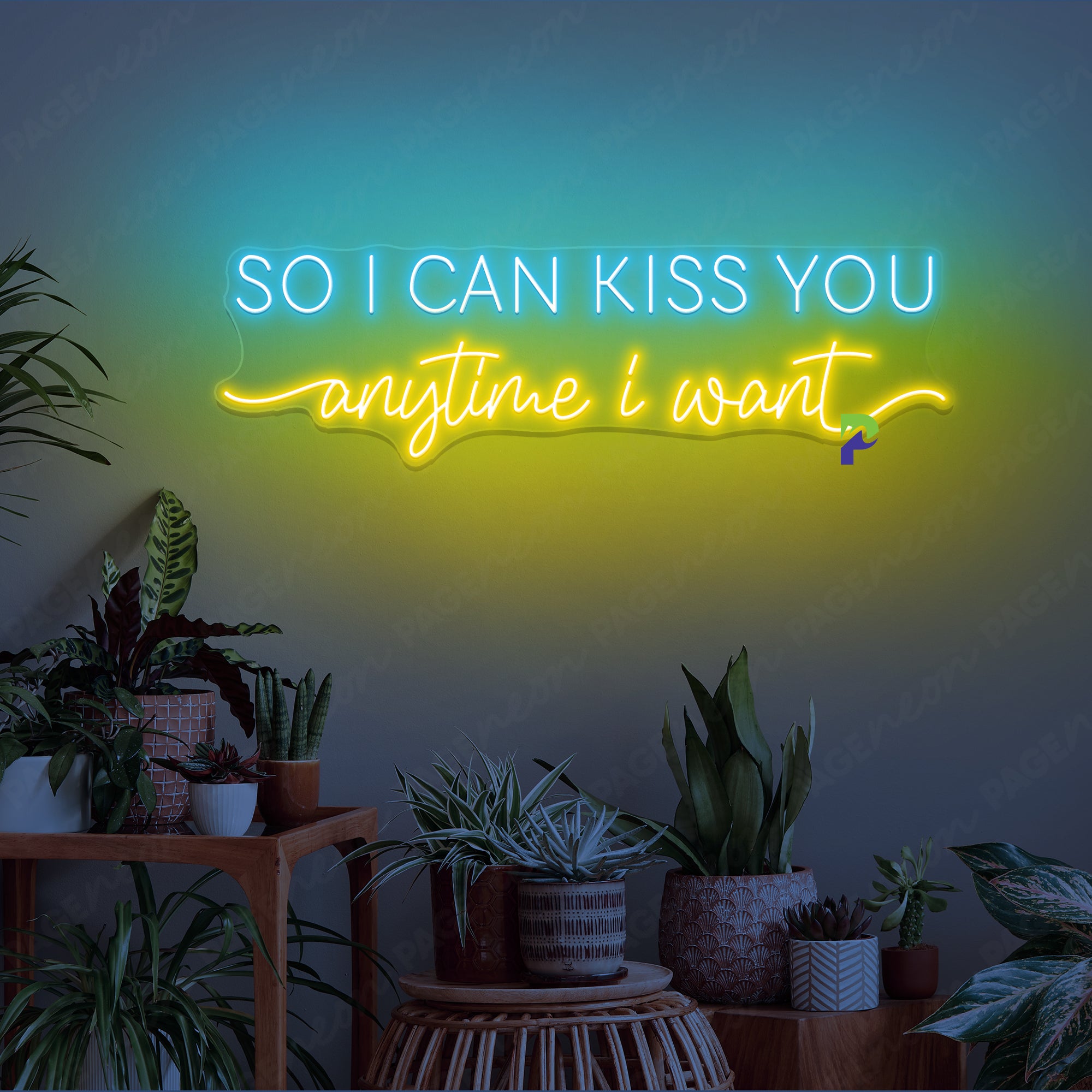 So I Can Kiss You Anytime I Want Neon Simple Sign