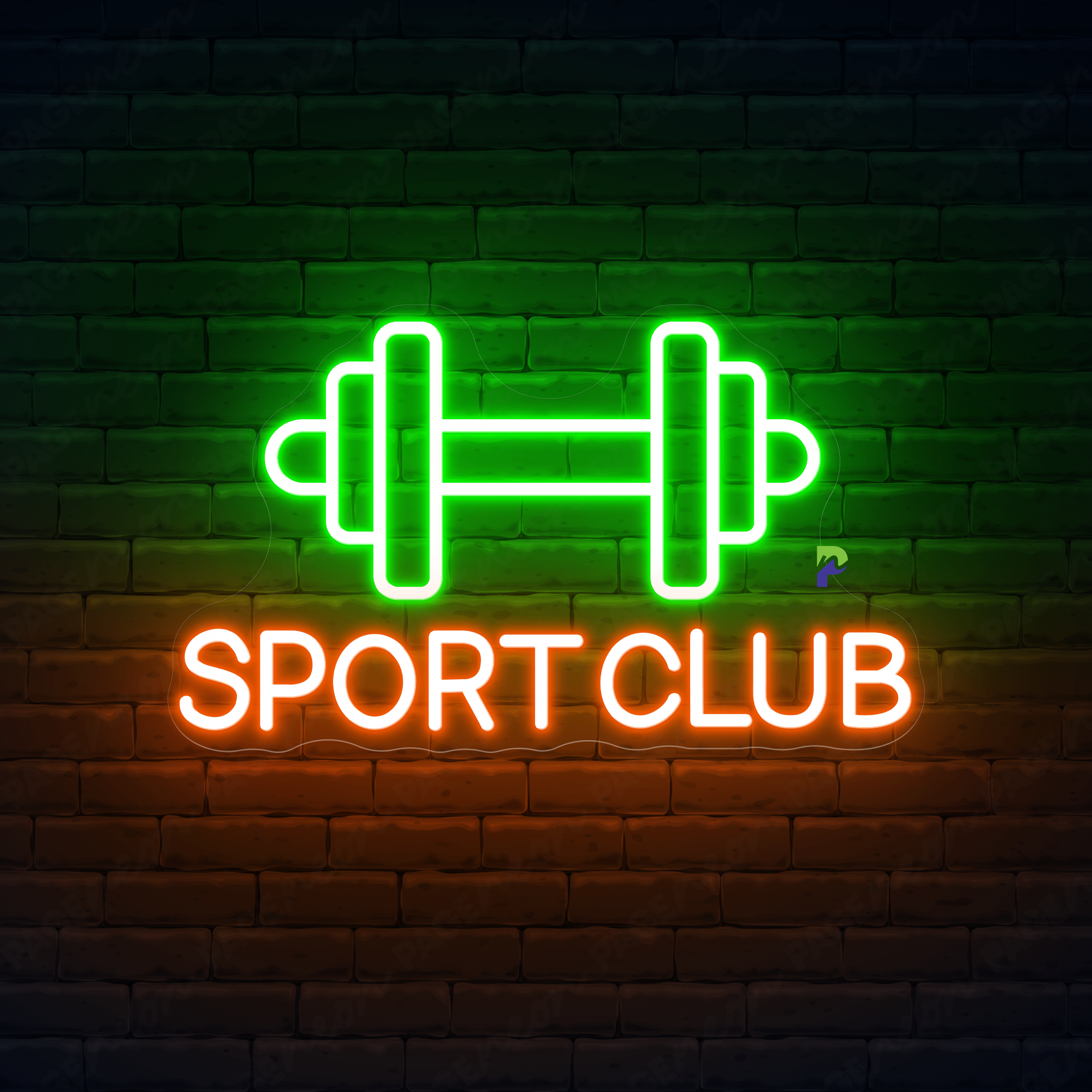 Sport Club Neon Sign Business Led Light