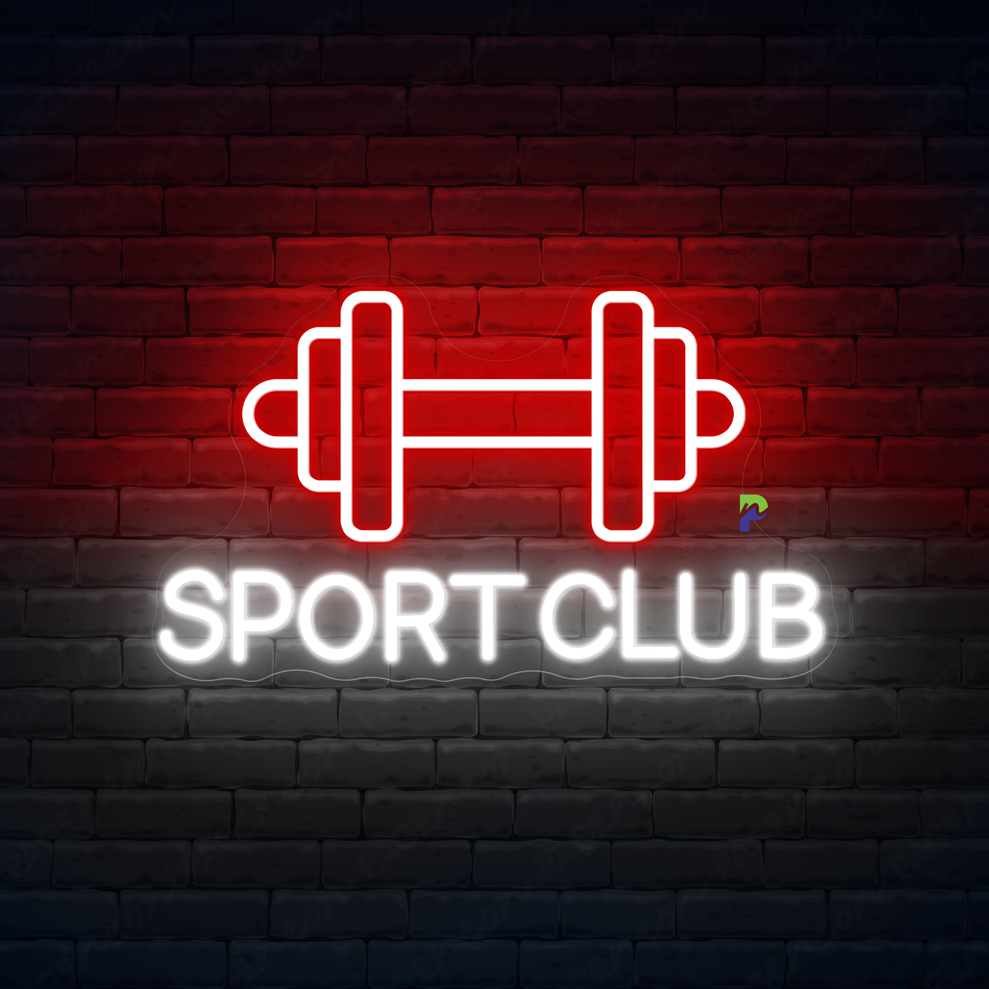 Sport Club Neon Sign Business Led Light