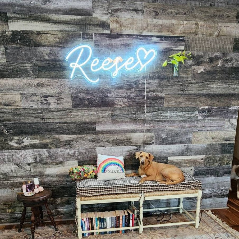 Custom Neon Sign Led Light For Lovely Pet