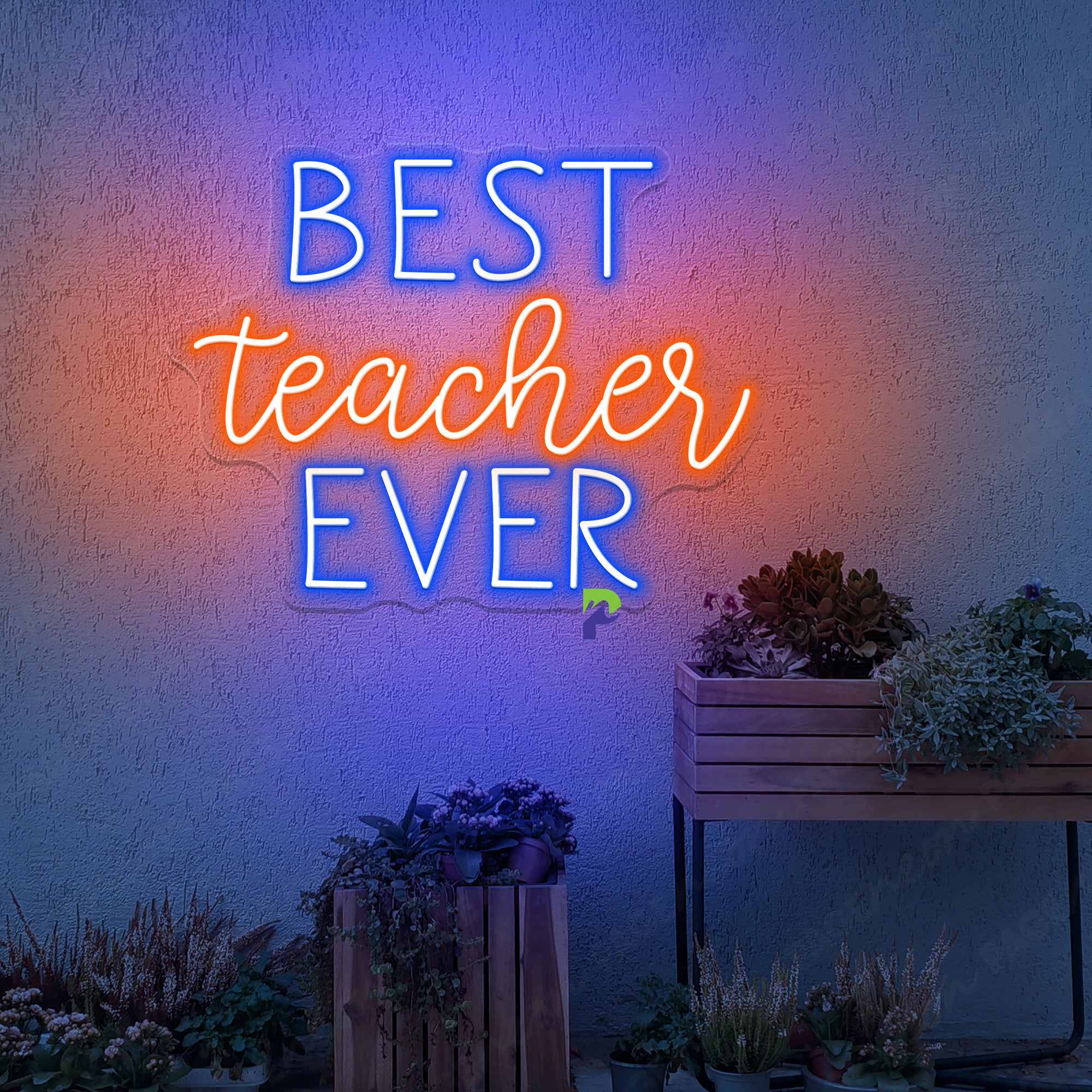 Best Teacher Ever Neon Sign Teacher Appreciation Led Light
