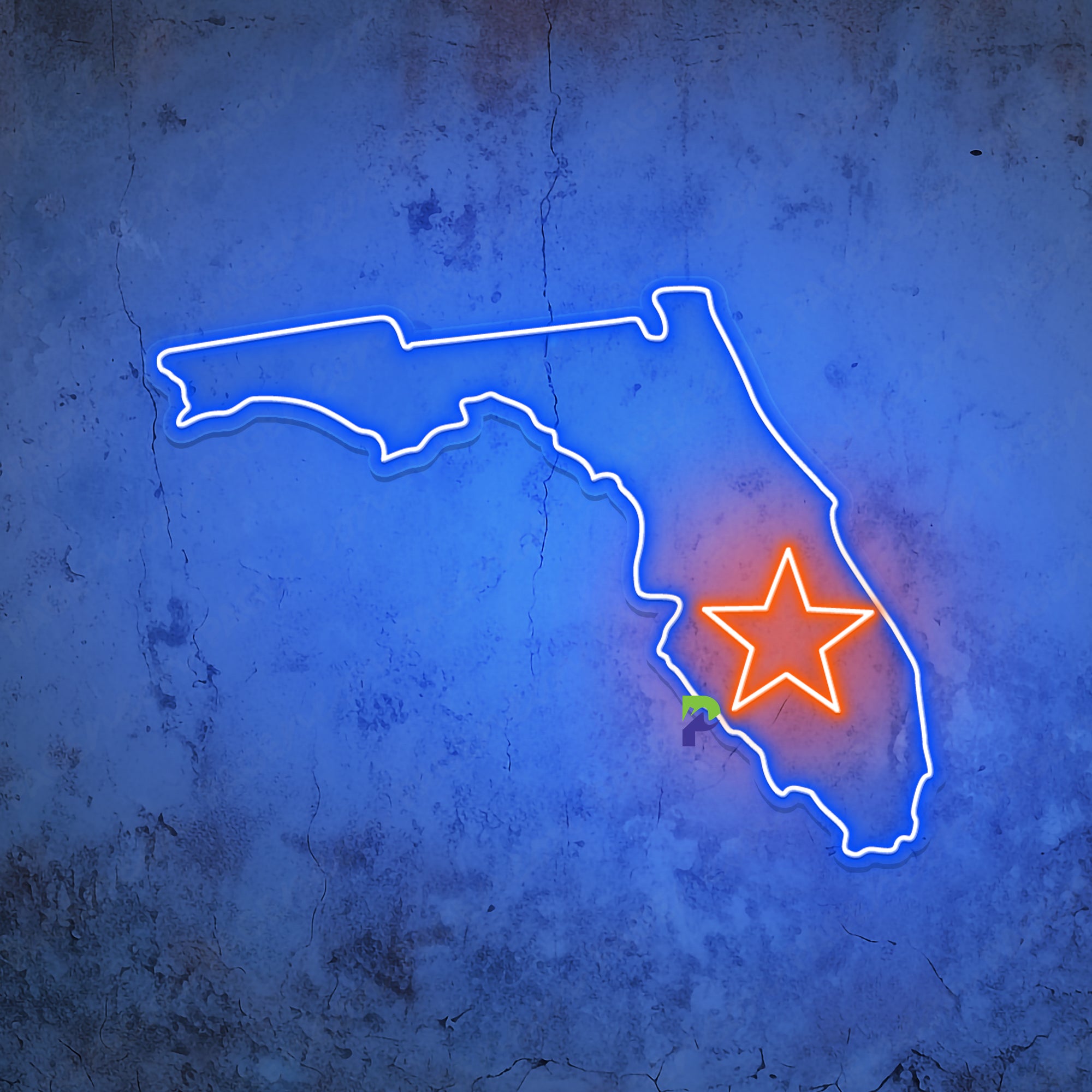 Florida Neon Sign State Led Light