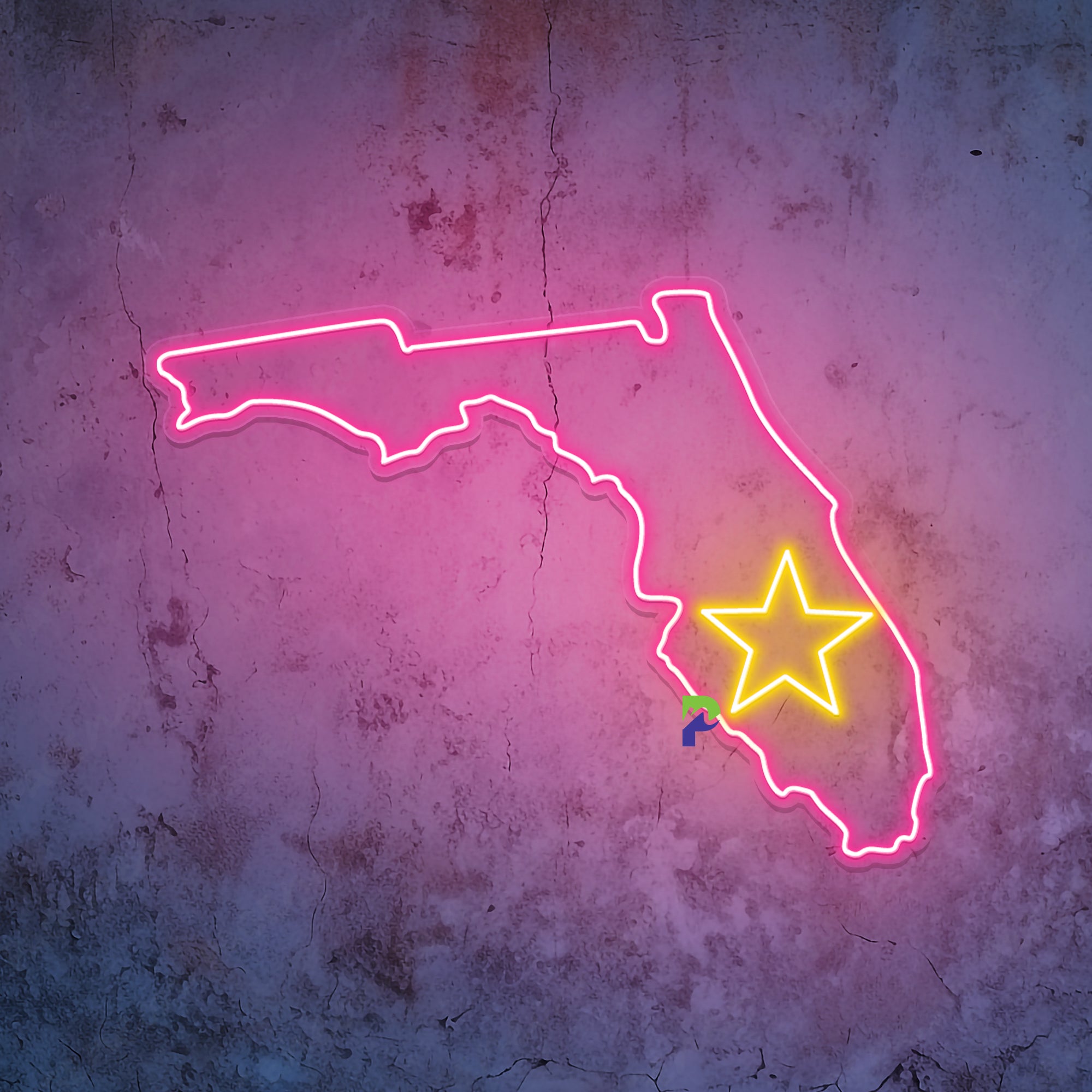Florida Neon Sign State Led Light