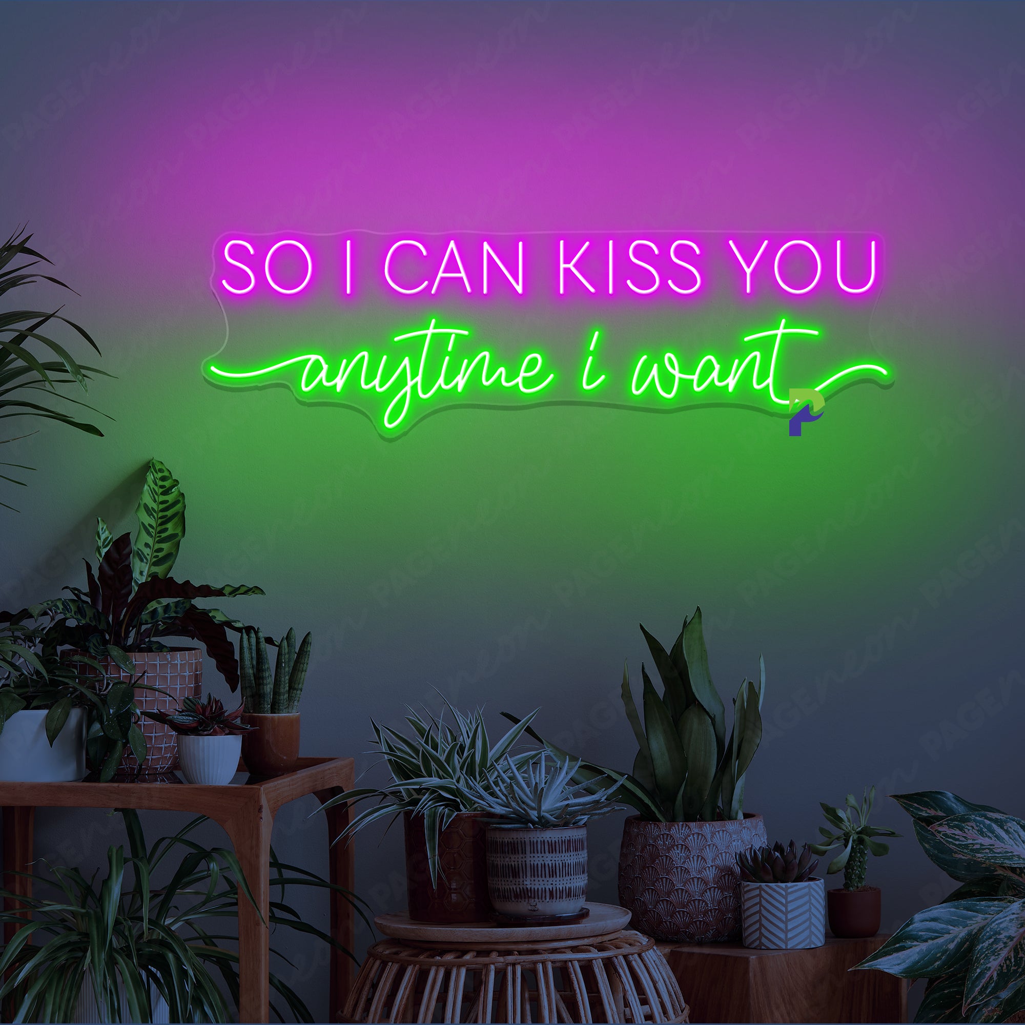 So I Can Kiss You Anytime I Want Neon Simple Sign