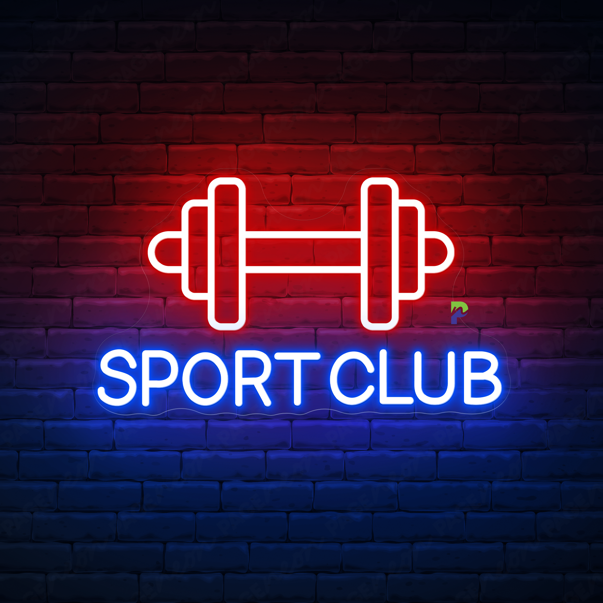 Sport Club Neon Sign Business Led Light