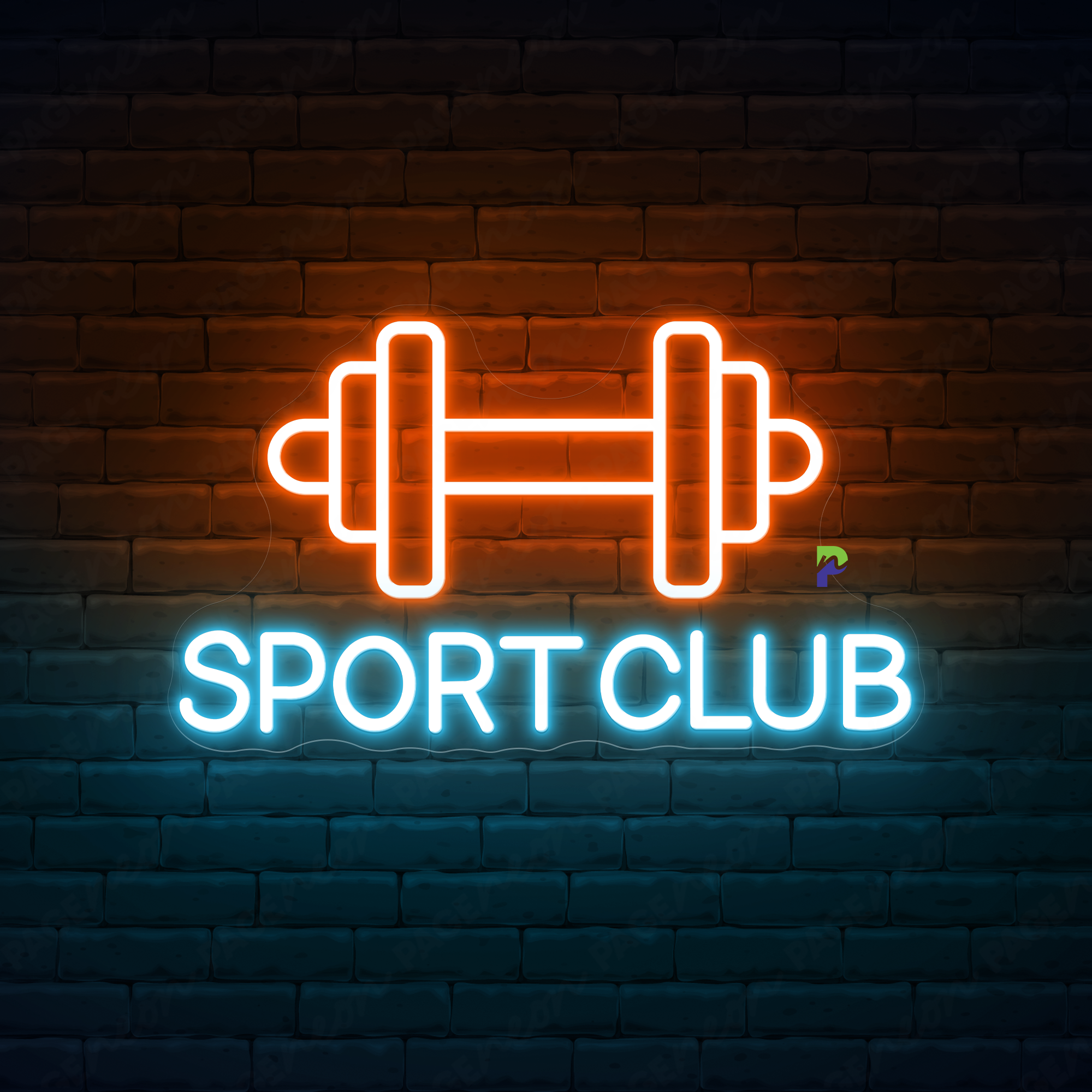 Sport Club Neon Sign Business Led Light