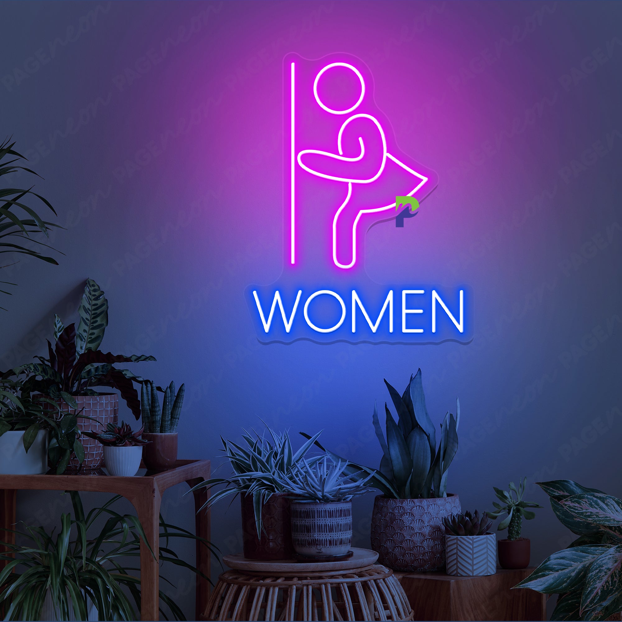 Women Bathroom Neon Sign Instruction Led Light