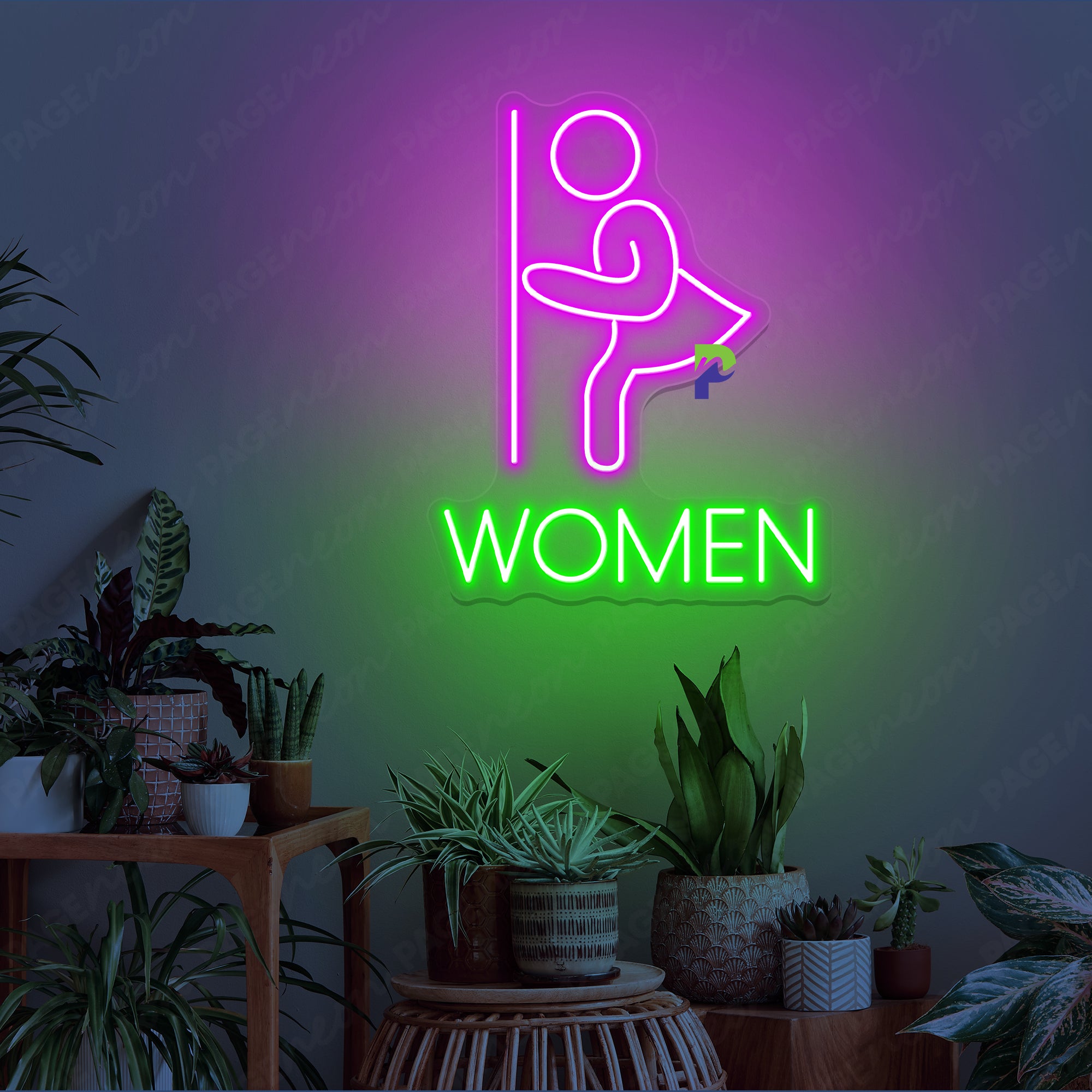 Women Bathroom Neon Sign Instruction Led Light