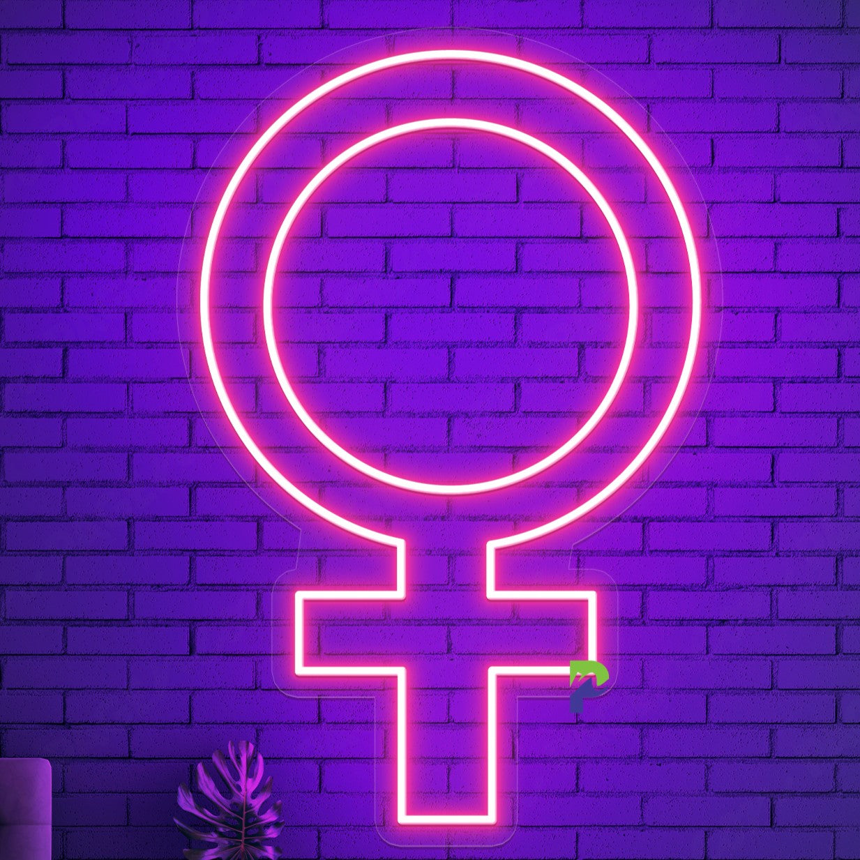 Women Sign Neon Light Bright Led For Room